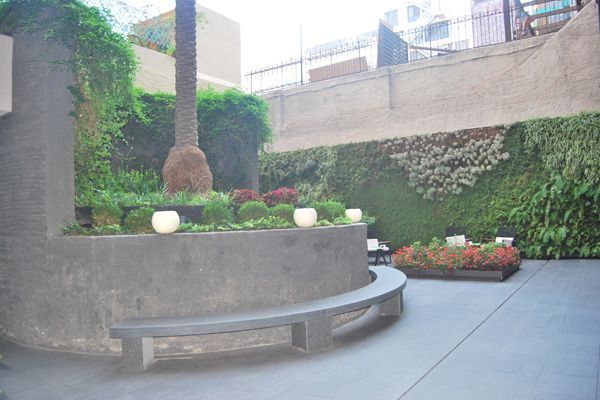 Hay un banco en el medio del jardín.