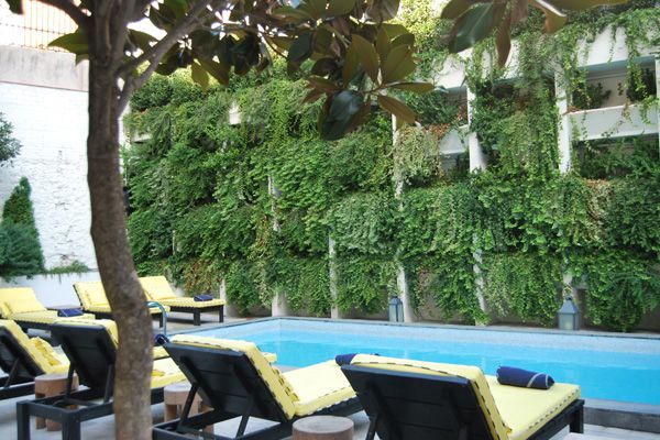 Una piscina rodeada de sillas y un árbol.