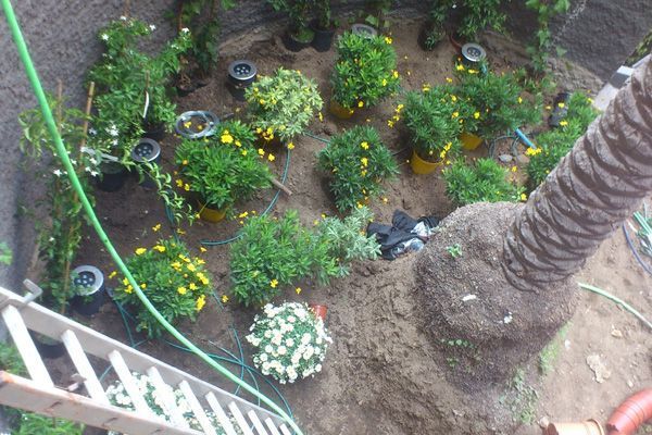 Una vista aérea de un jardín con una escalera en primer plano.