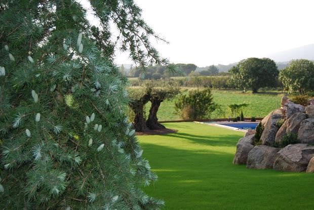 Un exuberante campo verde con árboles y una piscina al fondo.