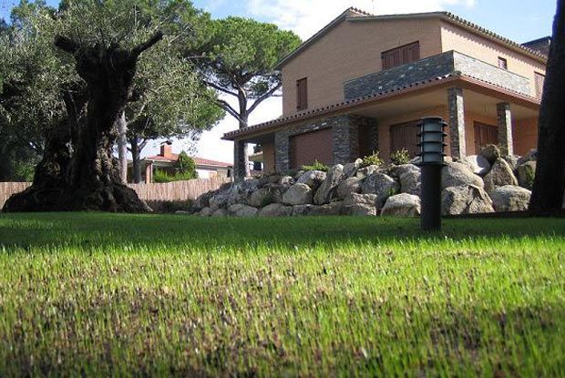 Una casa con un gran árbol delante de ella
