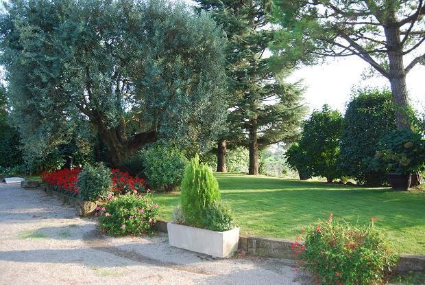 Un exuberante campo verde con árboles y arbustos que lo rodean.