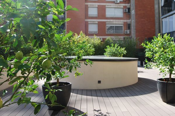 Una terraza de madera con plantas en macetas y un edificio al fondo.