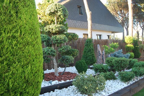 Un jardín con árboles y arbustos frente a una casa.