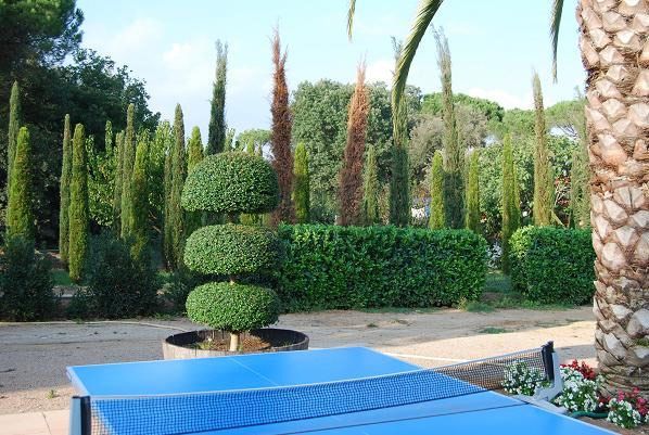 Una mesa de ping pong azul con un árbol al fondo.