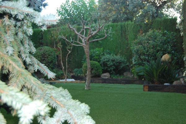 Un exuberante jardín verde con árboles y arbustos y un árbol en el medio.
