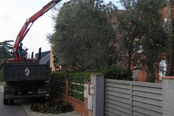 Un camión volquete con una grúa en la parte trasera está estacionado frente a una casa