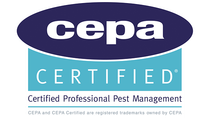 Logo Cepa
