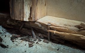 Ränsistynyt ovenkarmi