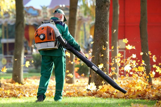 Un ouvrier utilise un souffleur de feuilles dans un parc, balayant les feuilles d'automne près de structures rouges.