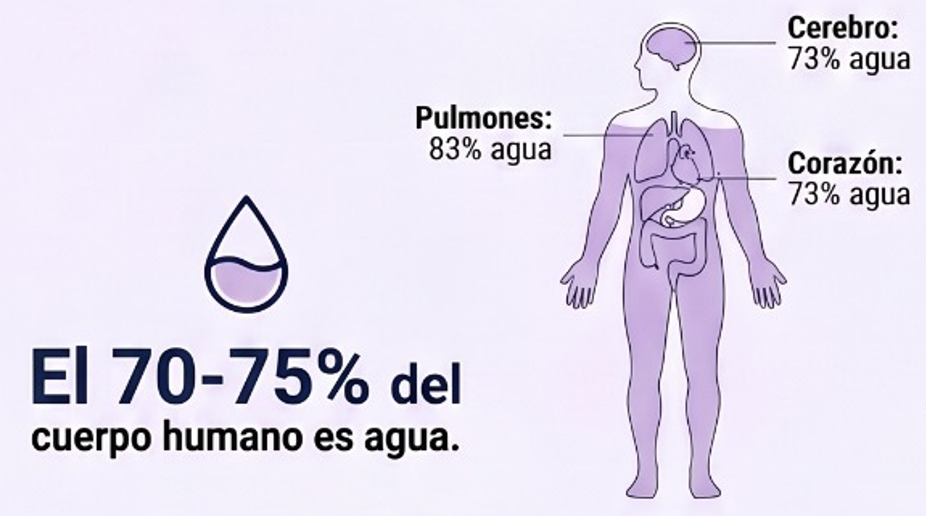 Enagic K8 — La Ciencia del Agua Ionizada