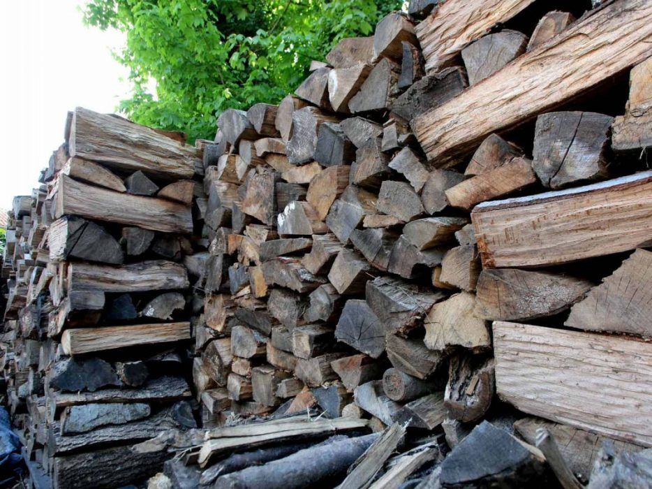 Un tas de bûches fendues et de bois de chauffage empilés en extérieur, avec du feuillage vert visible en arrière-plan.