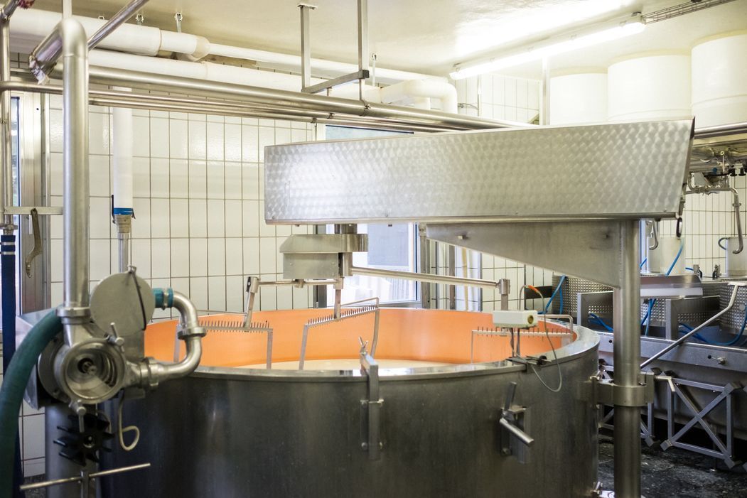 galerie-photos-laiterie-fromagerie-du-paquier-gruyere-fribourg