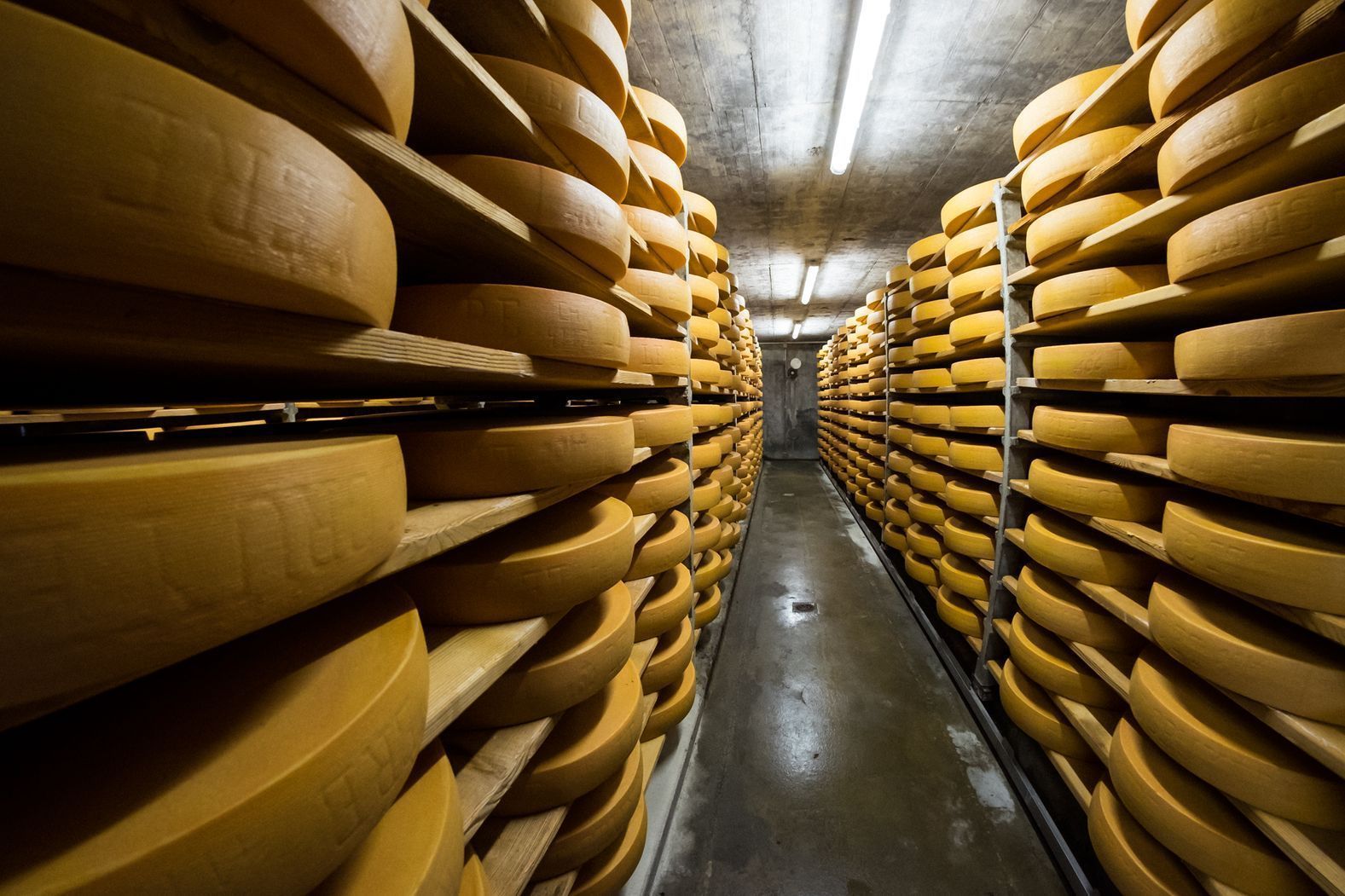 galerie-photos-laiterie-fromagerie-du-paquier-gruyere-fribourg