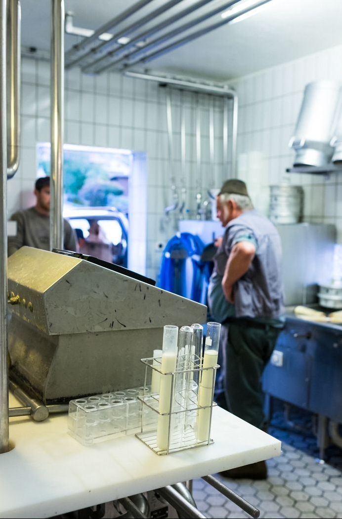 galerie-photos-laiterie-fromagerie-du-paquier-gruyere-fribourg