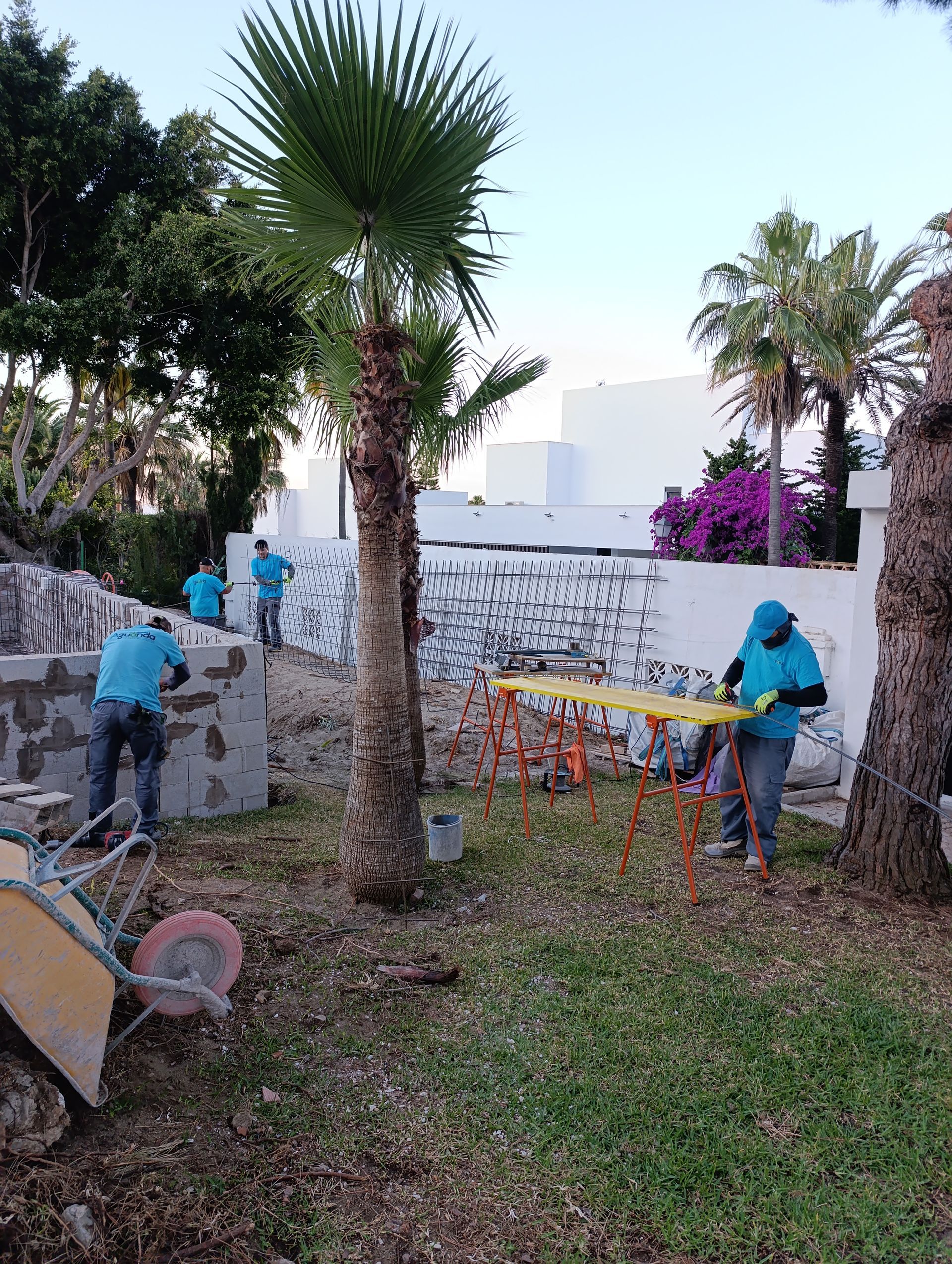 Un grupo de personas está trabajando en un muro de un jardín.