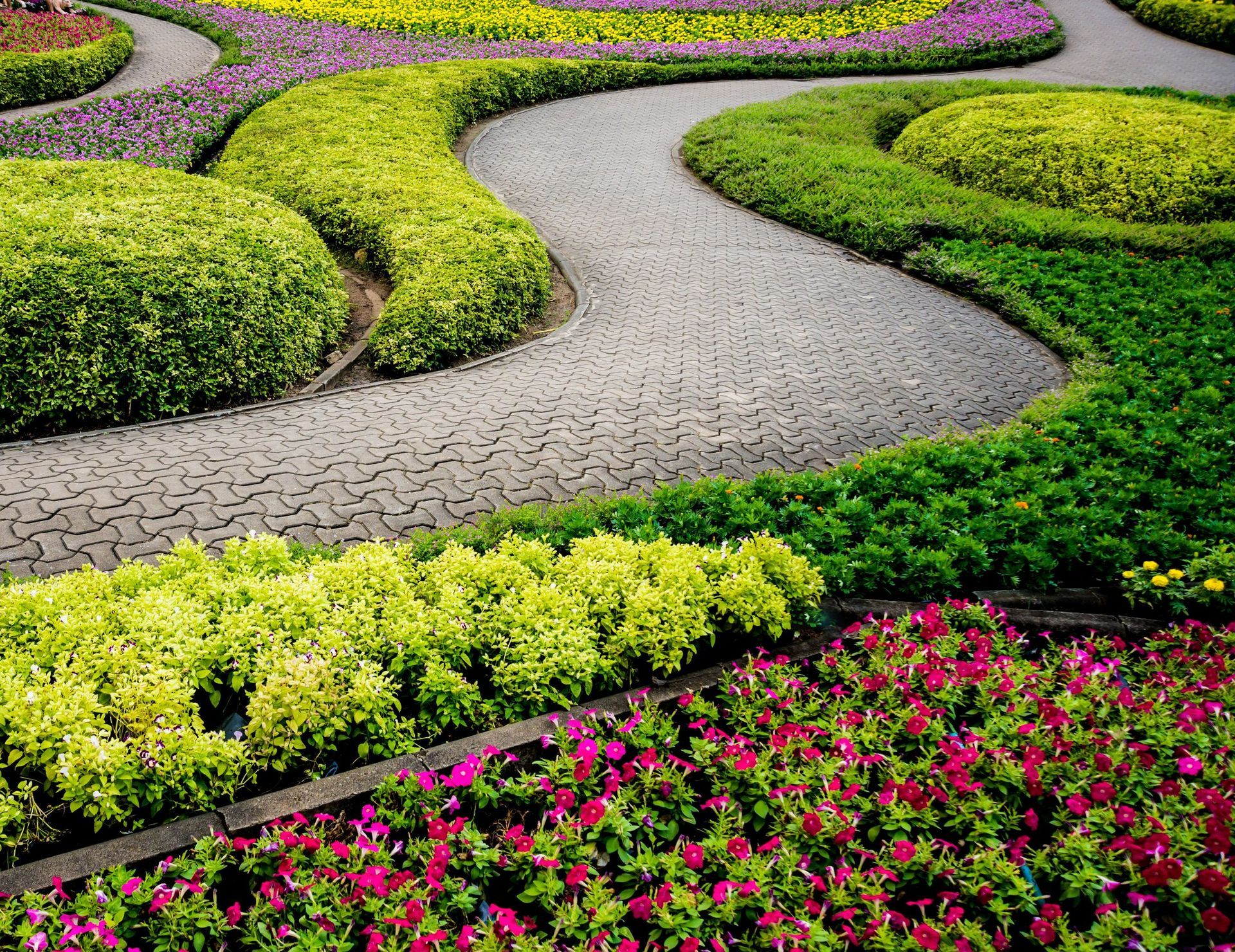 Un camino en un jardín rodeado de flores y arbustos.