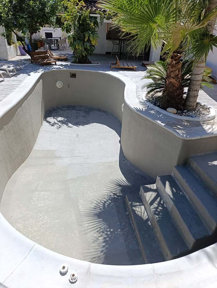 Piscina vacía de nueva construcción con escalones de hormigón y una pequeña palmera en una jardinera elevada.