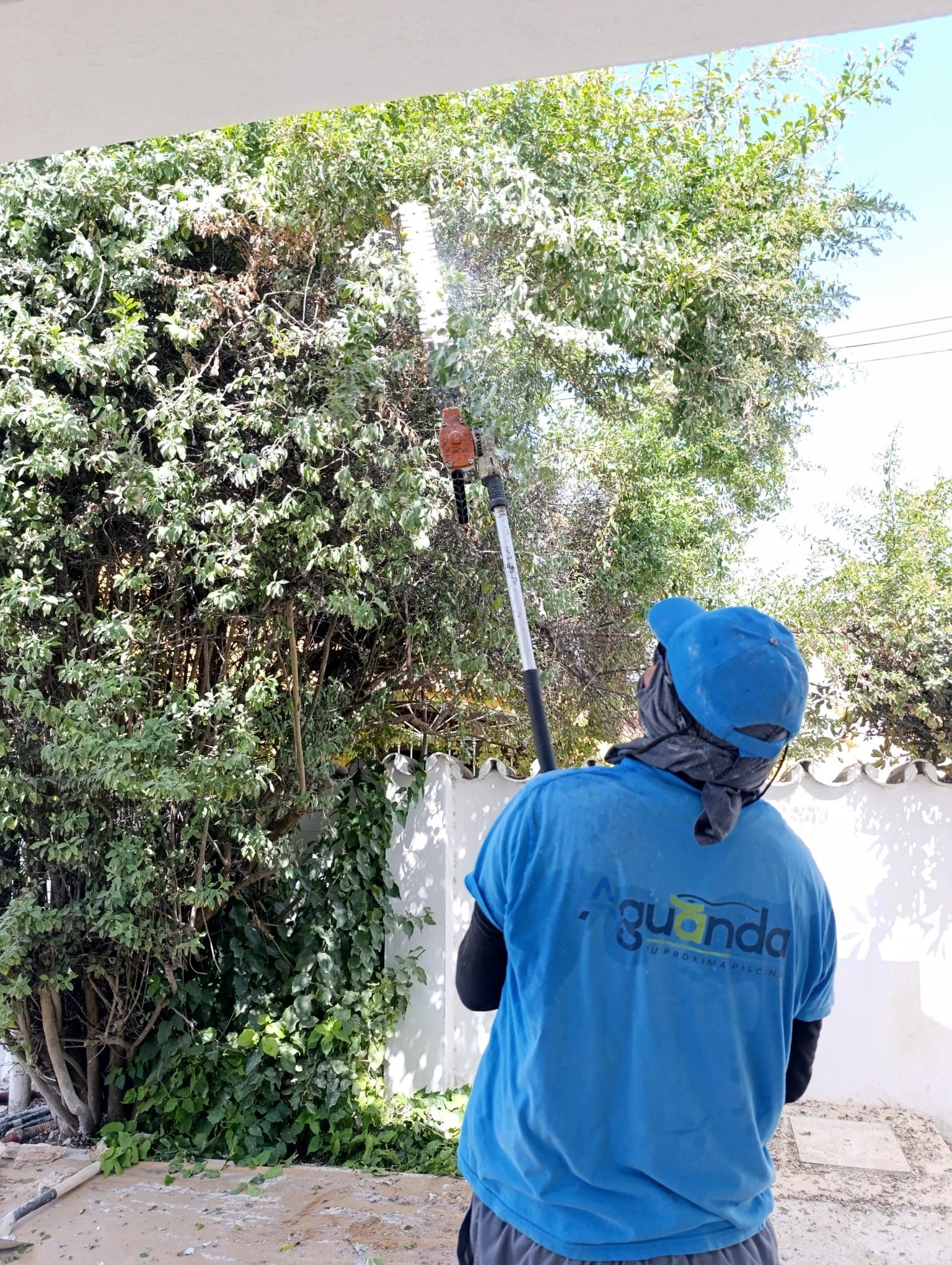 Una persona vestida de azul poda un árbol con una sierra de mango largo afuera de un edificio.