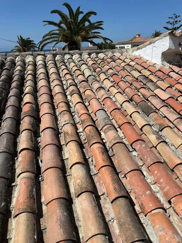 Techo de tejas de barro con colores variados bajo un cielo azul, palmeras al fondo.