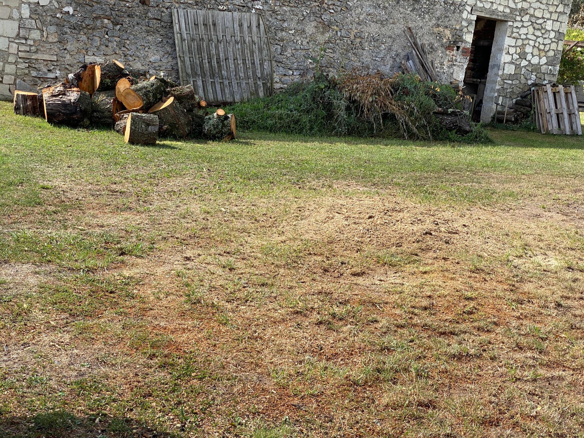 Vue d'un jardin à la pelouse uniforme et en haut à gauche plusieurs morceaux de ce que fut jadis un tronc d'arbre