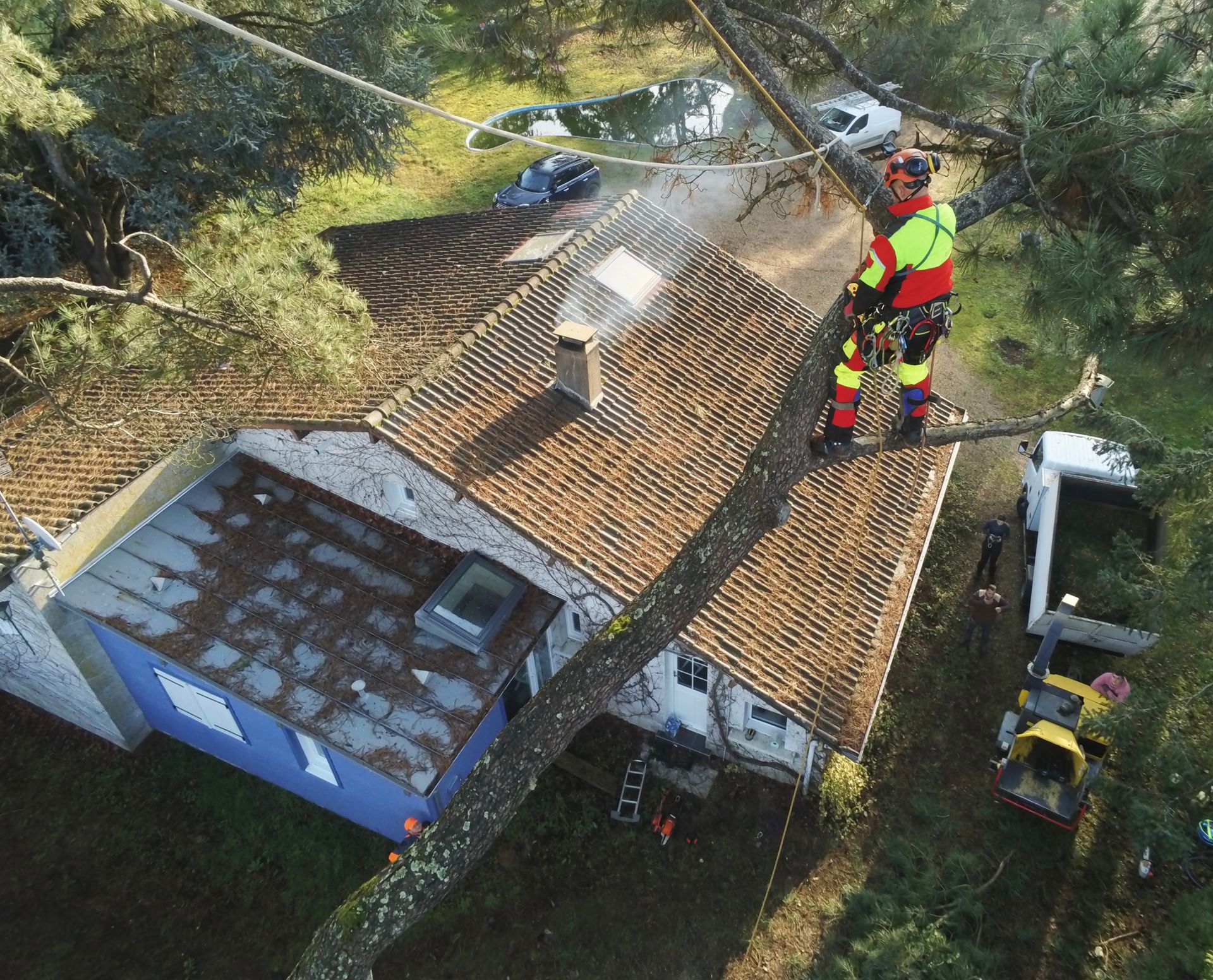 Élagueur debout sur une branche d'un arbre surplombant une maison individuelle, câblé par sécurité