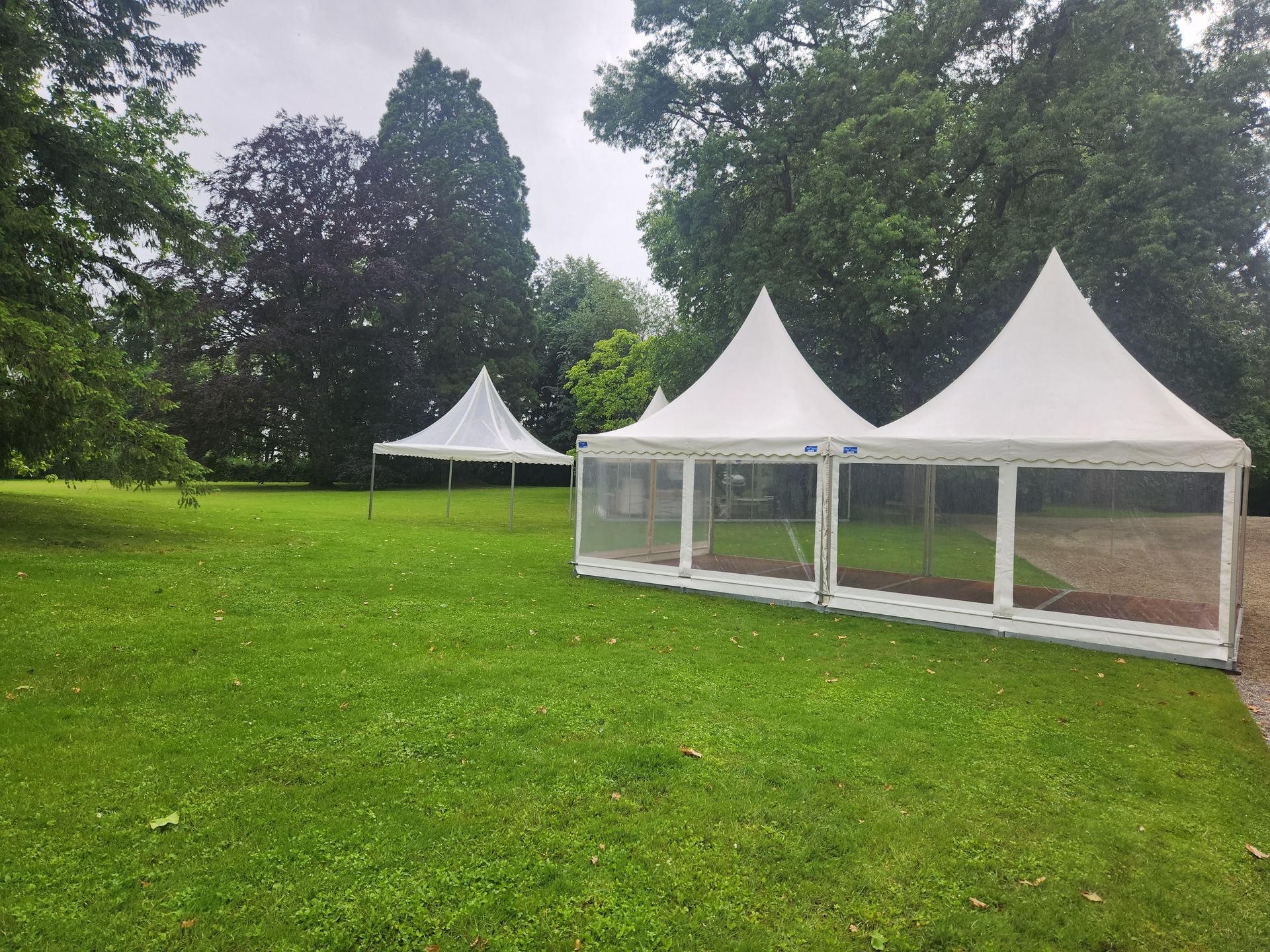Chapiteau dans un parc avec fleurs en gros plan