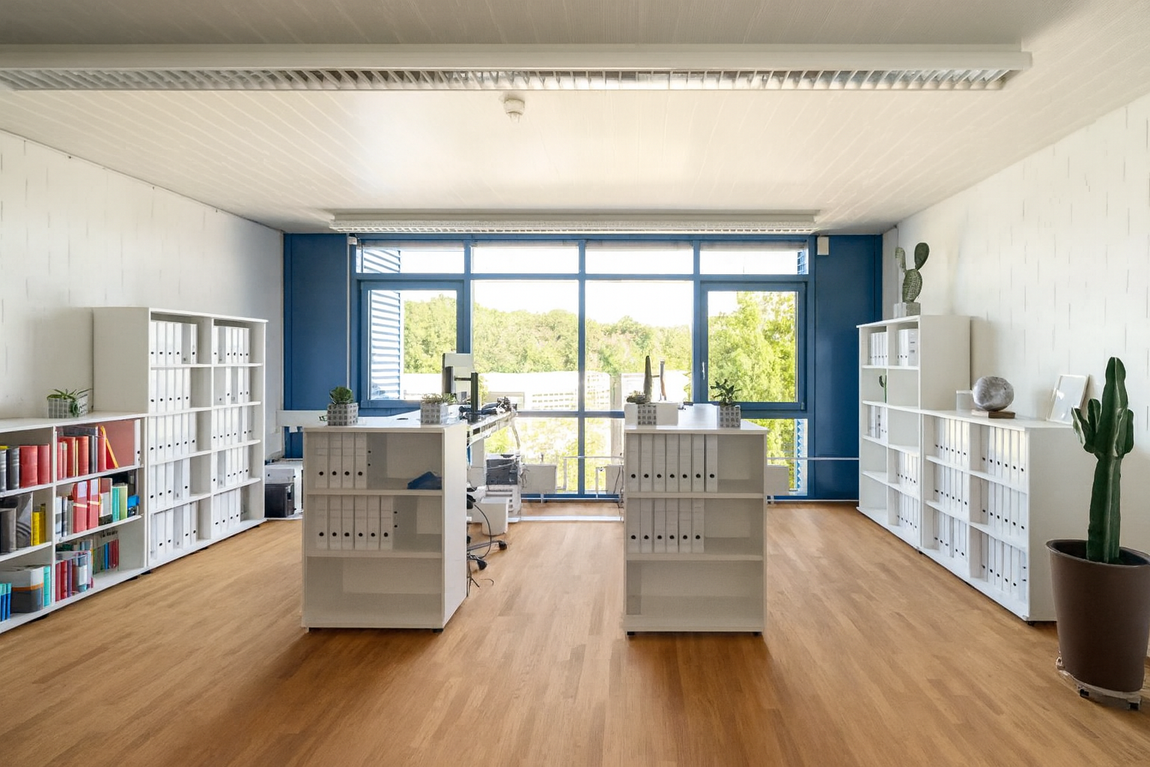 Büro mit weißen Regalen, blauen Wänden und großen Fenstern mit Blick auf Bäume.