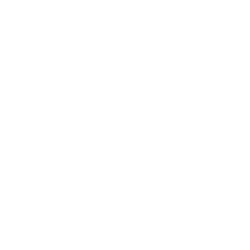 Icon Expertise