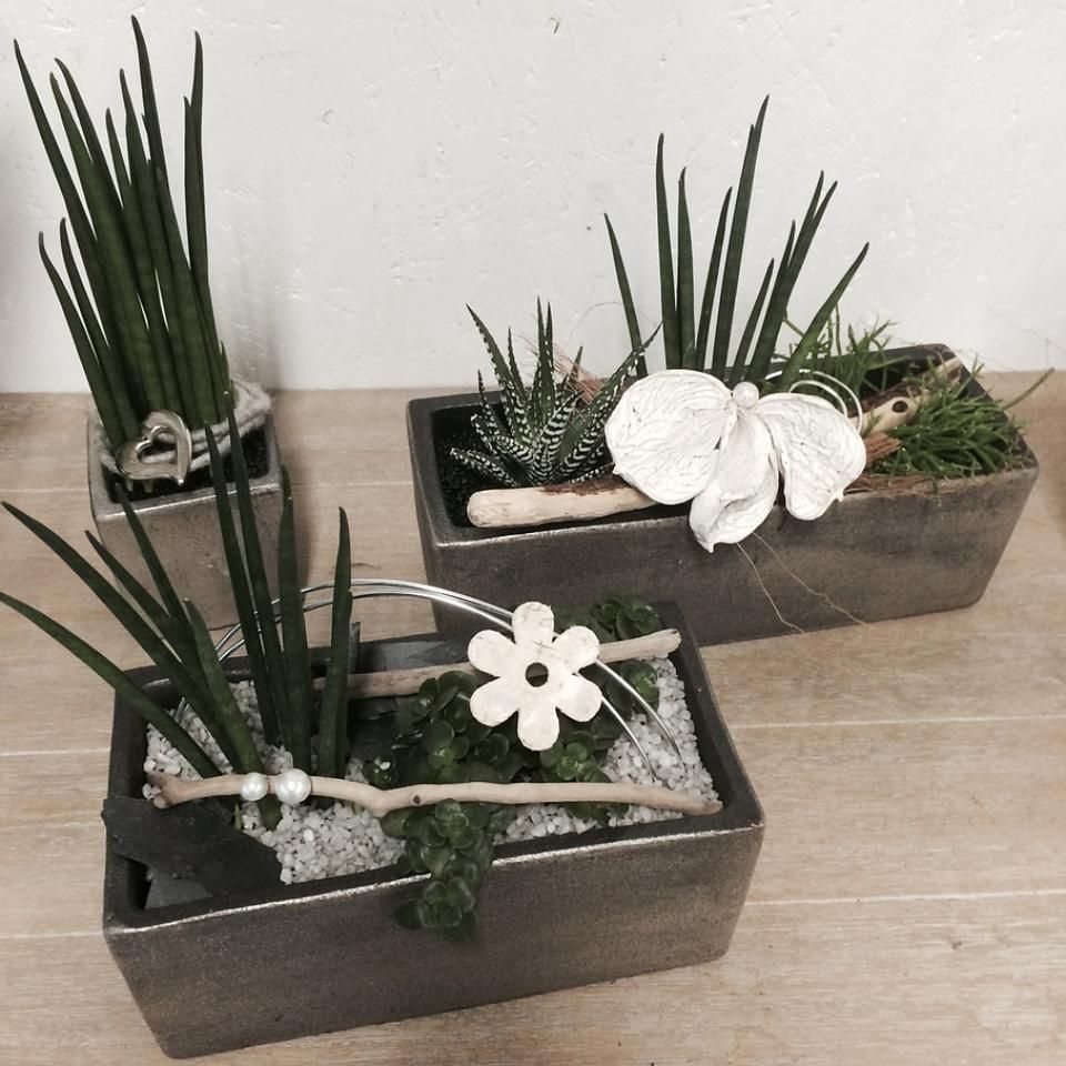 Pflanzendekorationen, Blumengeschäft Löwenzahn