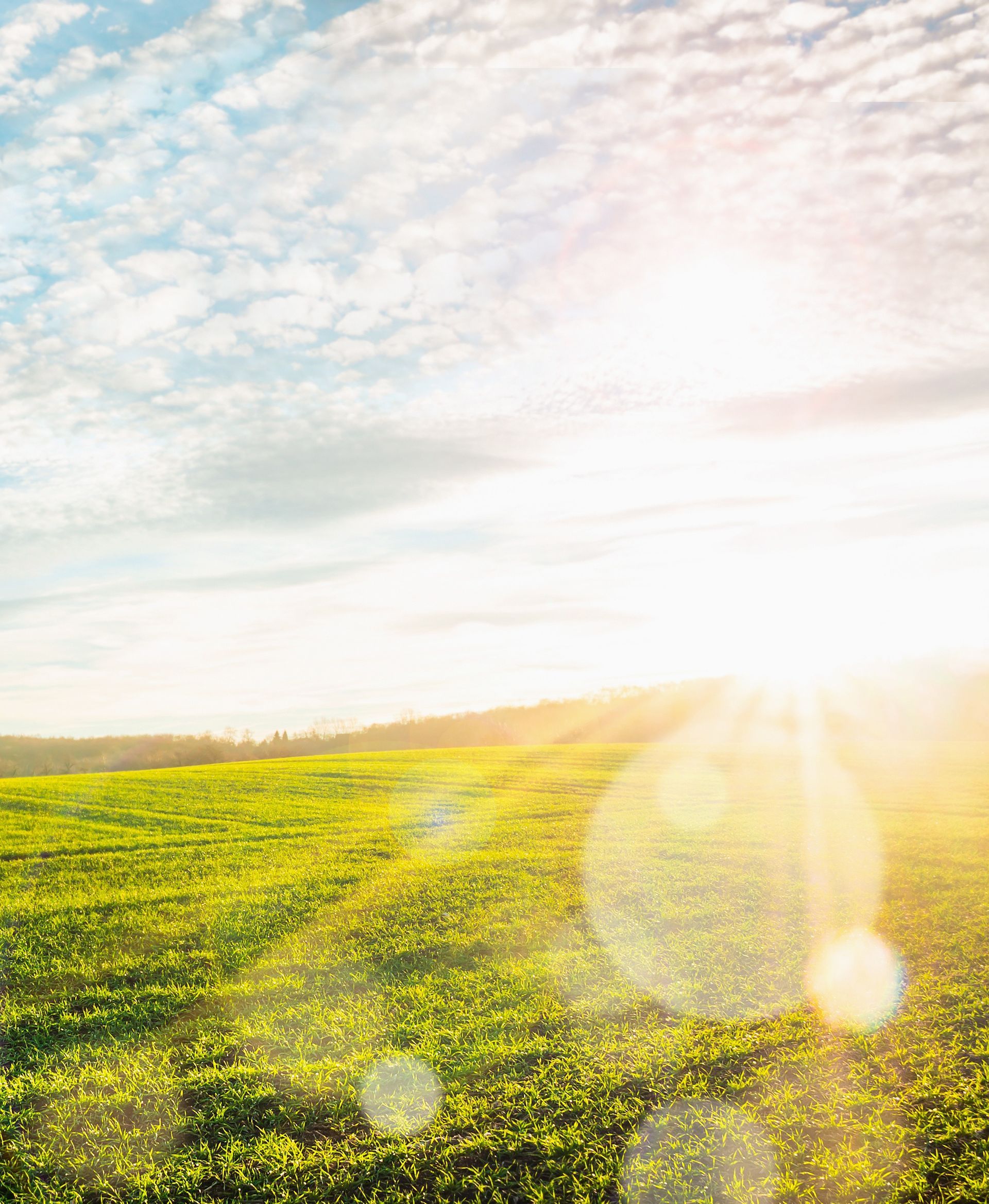 El sol brilla a través de las nubes sobre un campo de hierba.