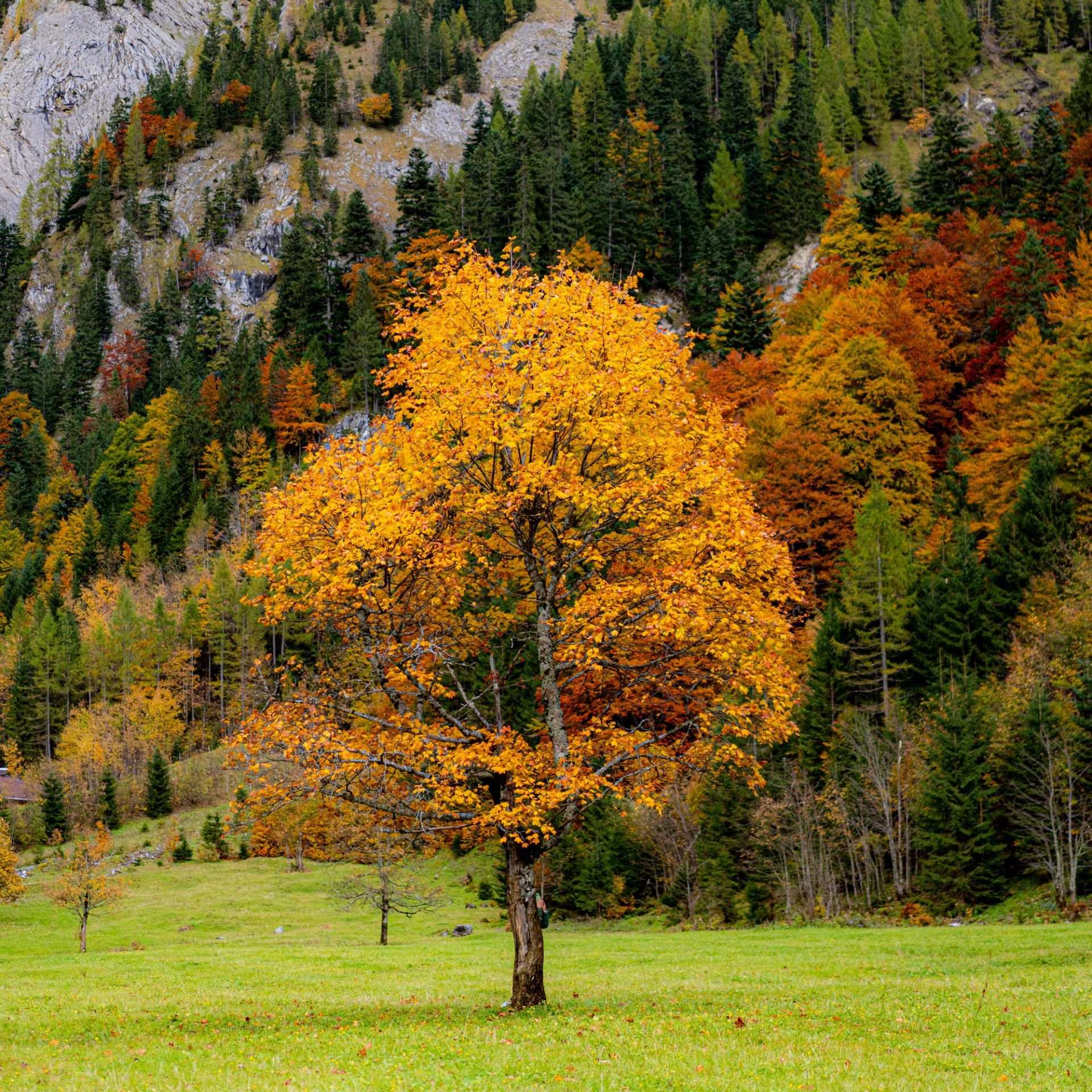 Hernstlandschaft