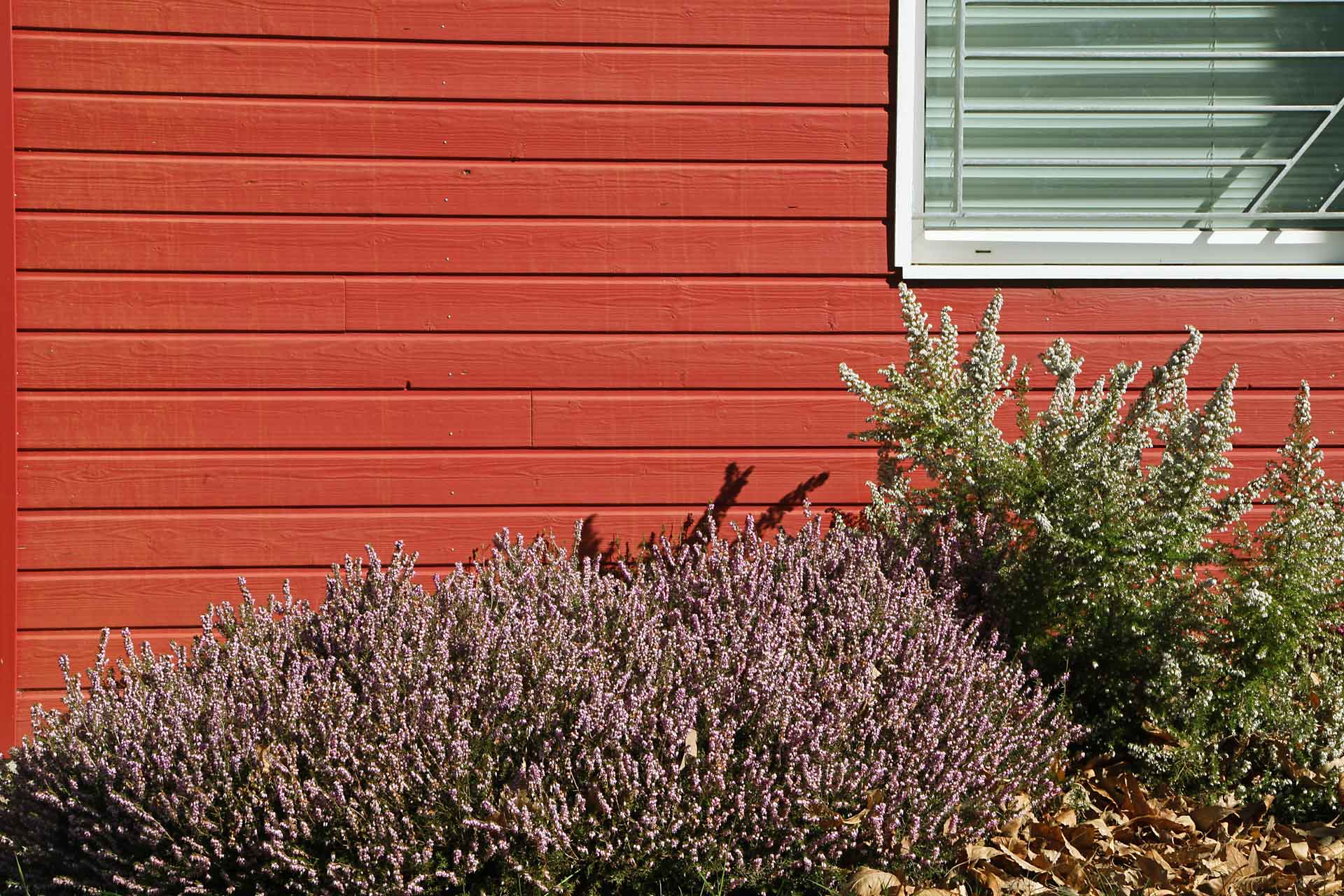 Peinture  couleur saumon sur bardage