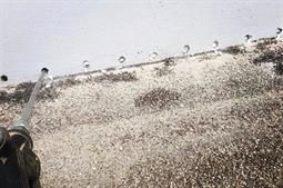 Horizontalsperre Bonn