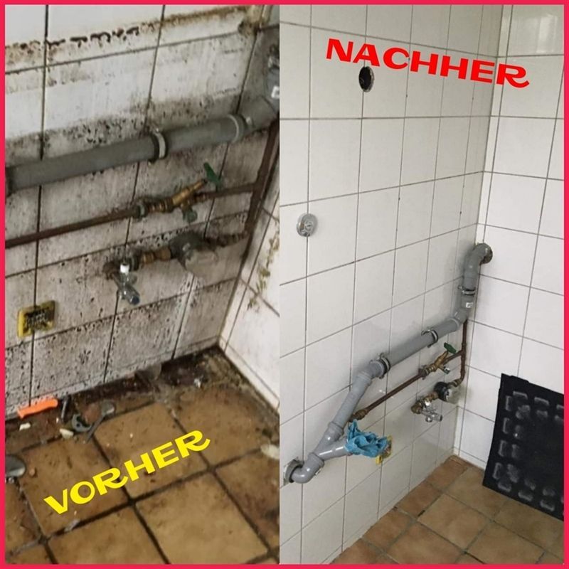 Vorher Nachher Schimmelpilz