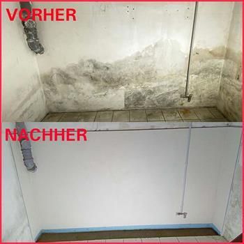 Vorher Nachher Schimmelpilz