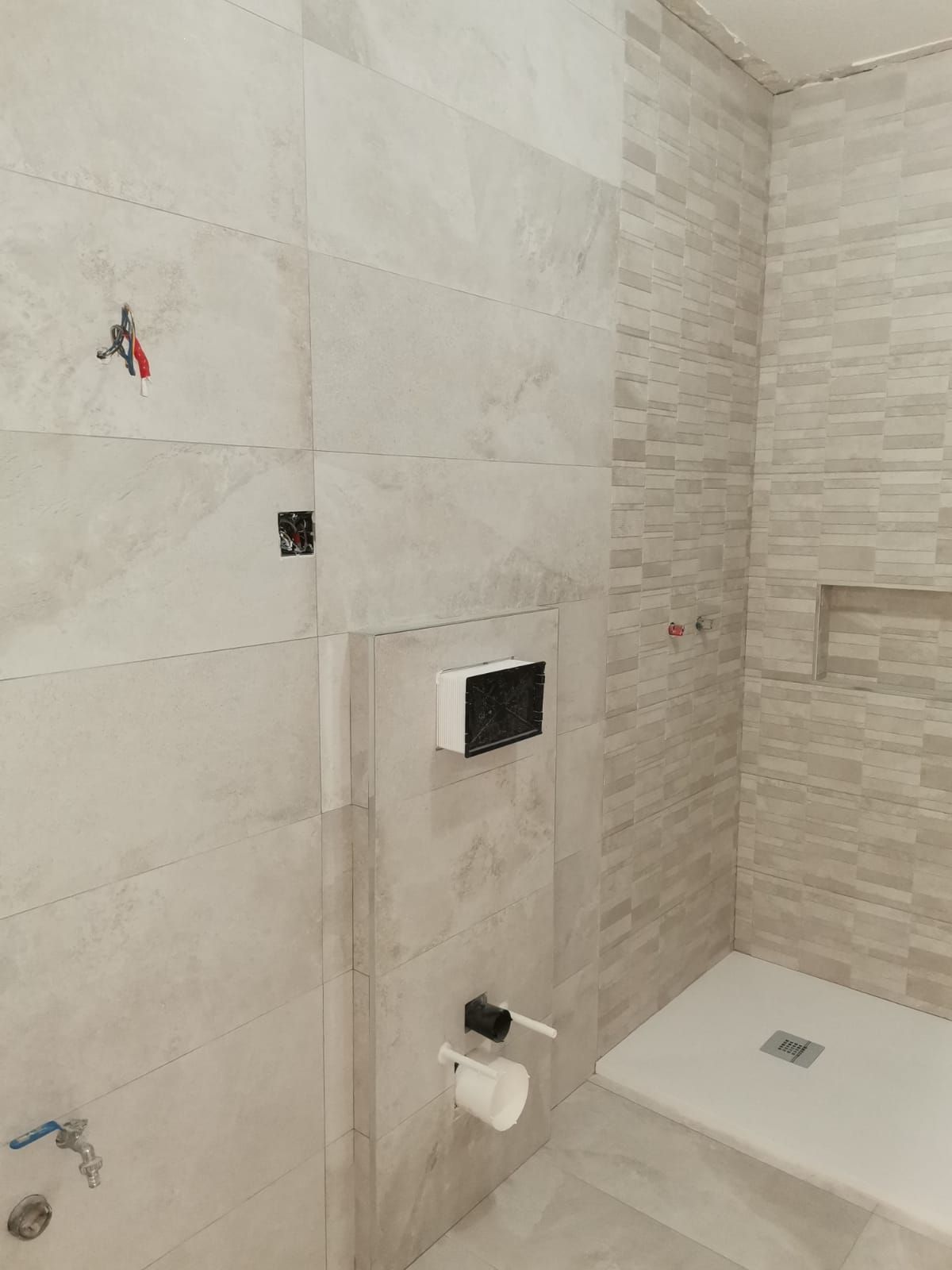 Un baño con ducha a ras de suelo y un inodoro.