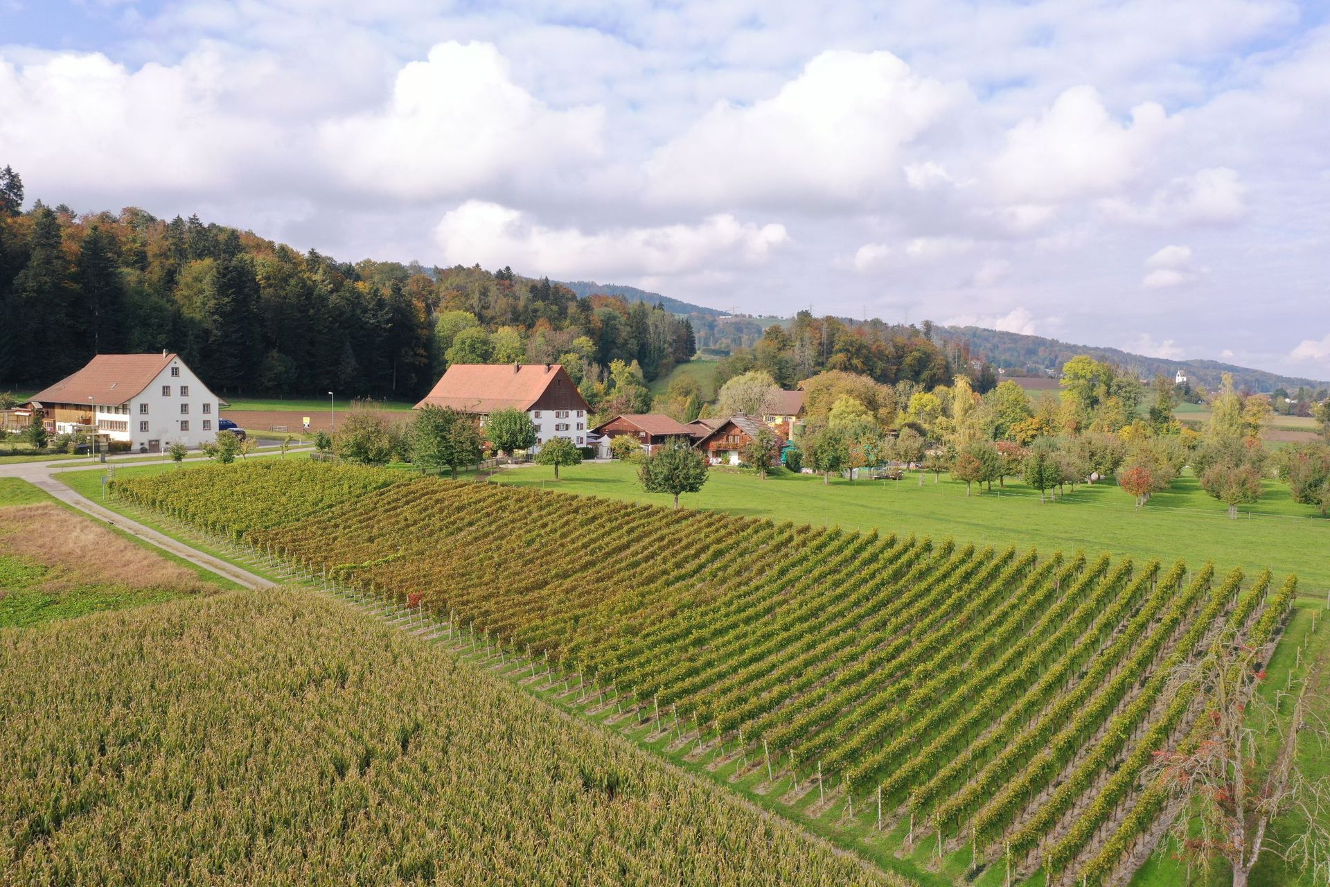 Restaurant Stallstube