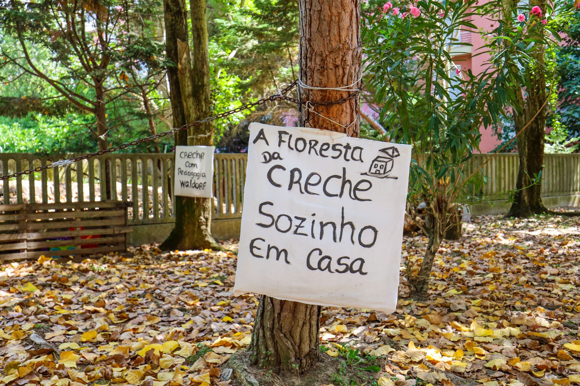 Creche Sozinho em Casa