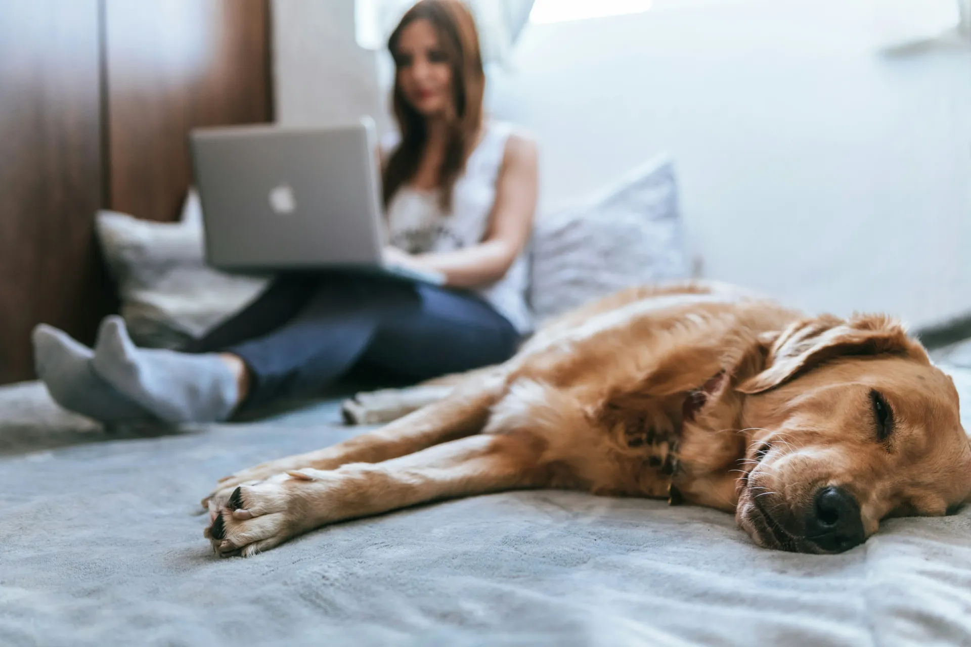 Mujer en la cama trabajando en una computadora portátil, perro golden retriever durmiendo en primer plano.
