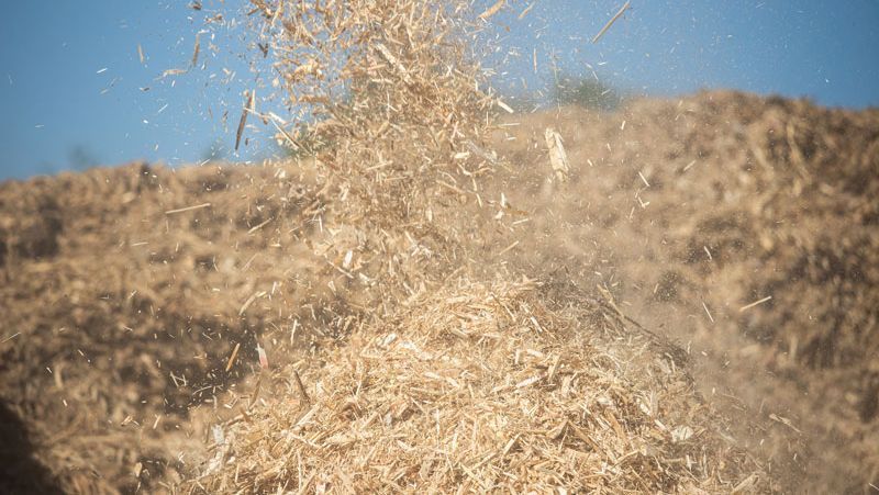 Gehacktes Stroh wird auf einen großen Haufen geblasen; hellbraune und beige Farben mit einem blauen Himmel im Hintergrund.