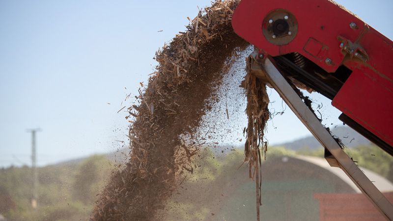 An einem sonnigen Tag stößt eine rote Maschine Holzspäne in die Luft im Freien aus.
