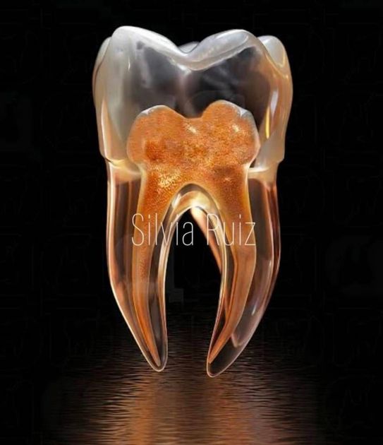 Dentista trabajando en un modelo dental bajo una lámpara de aumento en una clínica