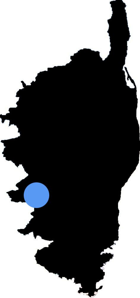 Carte en silhouette noire de la Corse avec un point bleu sur la côte sud-ouest