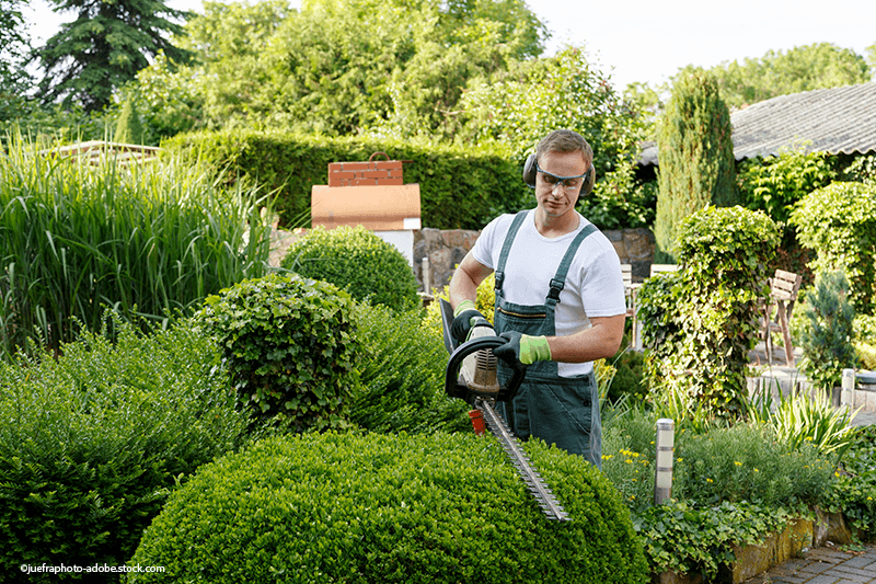 Eine Person, die Kopfhörer und einen Gartenoverall trägt, stutzt in einem sonnigen Garten eine Hecke mit einer motorbetriebenen Heckenschere.