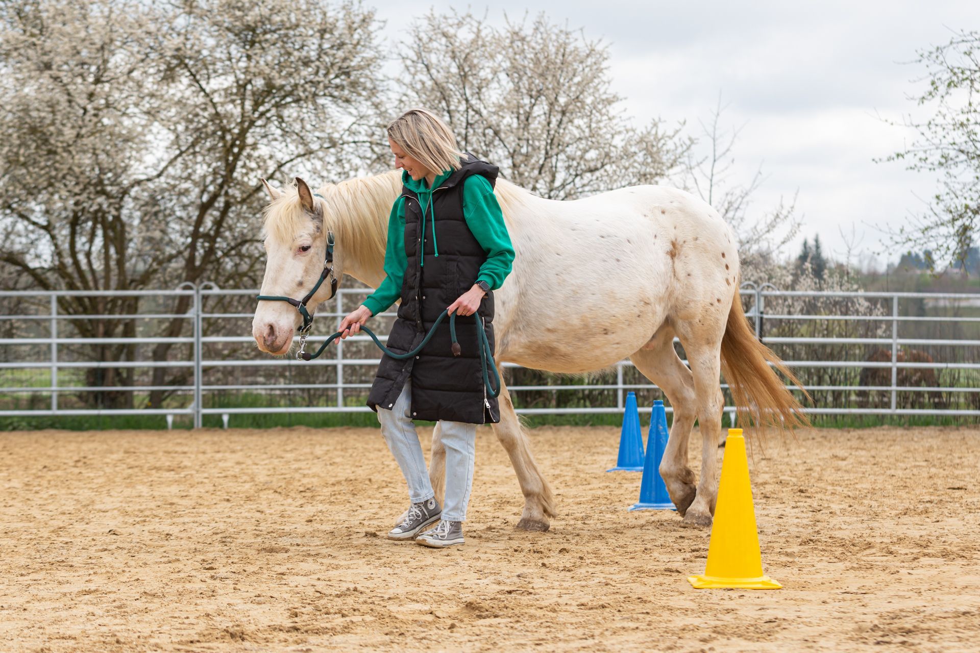 HerzPfade - Coaching und Persönlichkeitsentwicklung, Therapeutin führt Pferd durch Hinderniskurs, fördert Selbstbewusstsein und Geschicklichkeit.