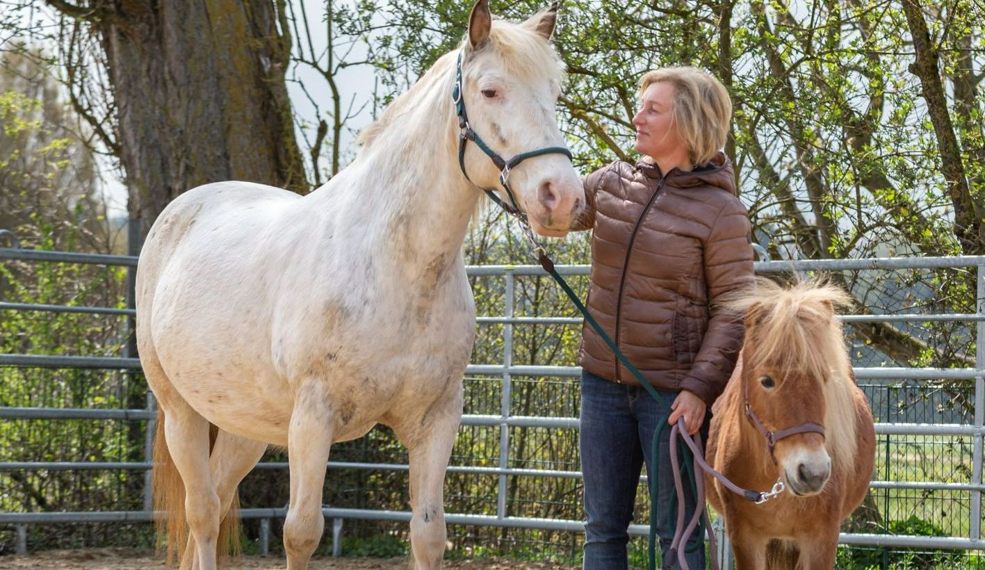 HerzPfade - Reittherapie und Trauerbegleitung, Therapeutin posiert zwischen zwei Therapiepferden, die in pferdegestützte Therapie involviert sind.