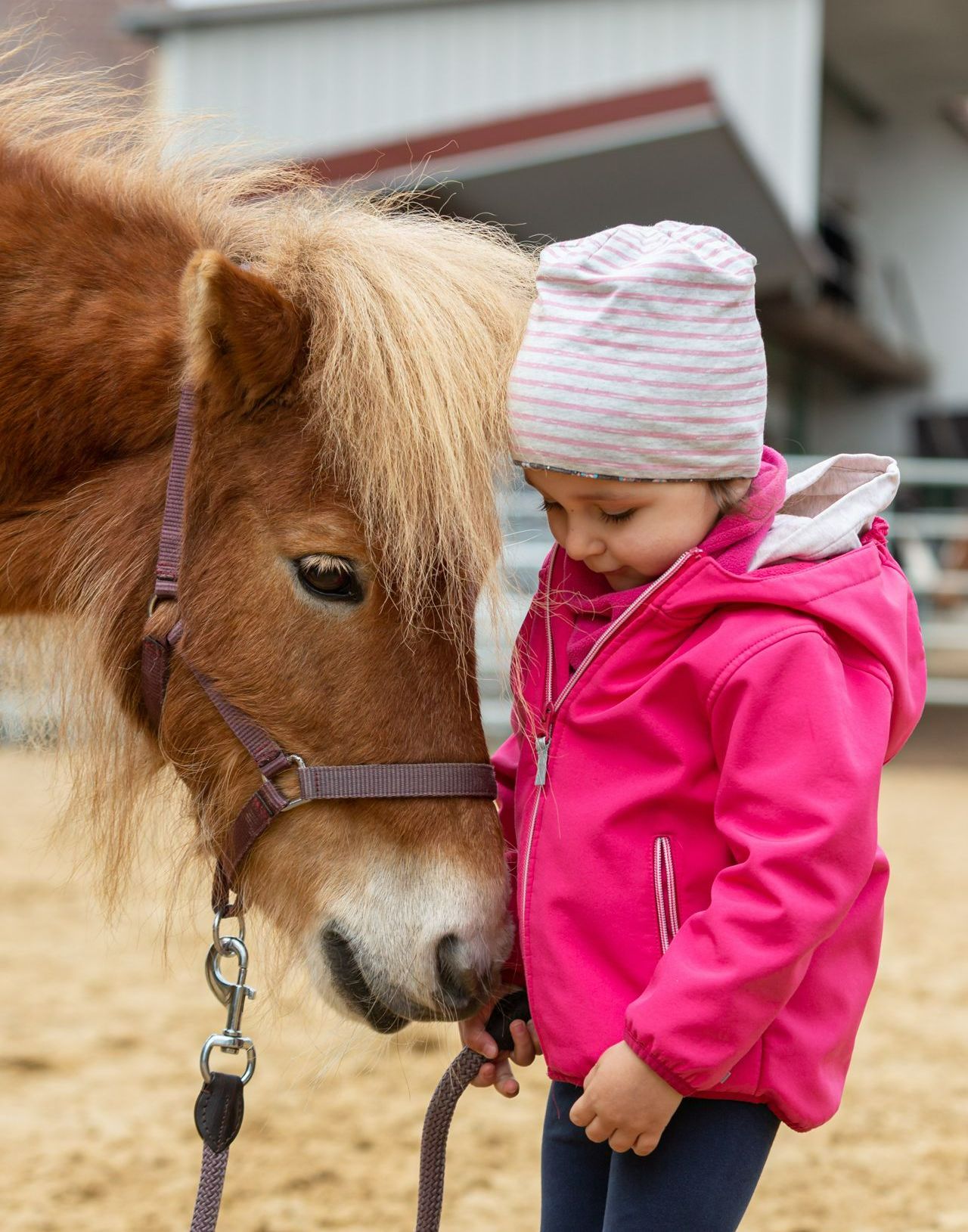 HerzPfade - Pferdegestützte Aktivität zur Trauerbewältigung, geeignet für alle Altersgruppen.