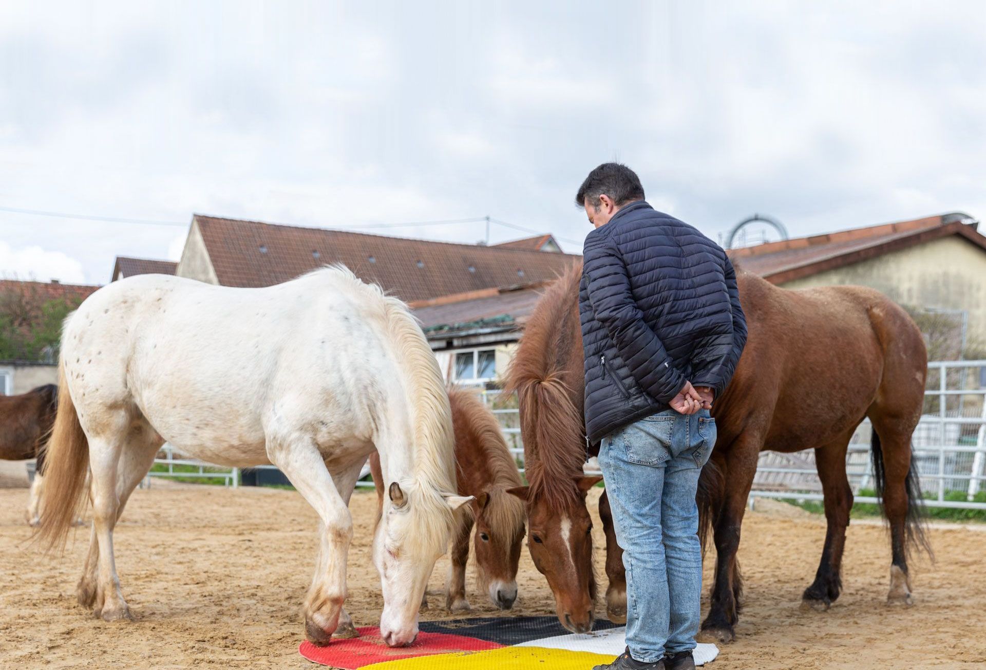 HerzPfade - Professionelle Trauerbegleitung, hilft Einzelpersonen bei der Bewältigung von Verlust.
