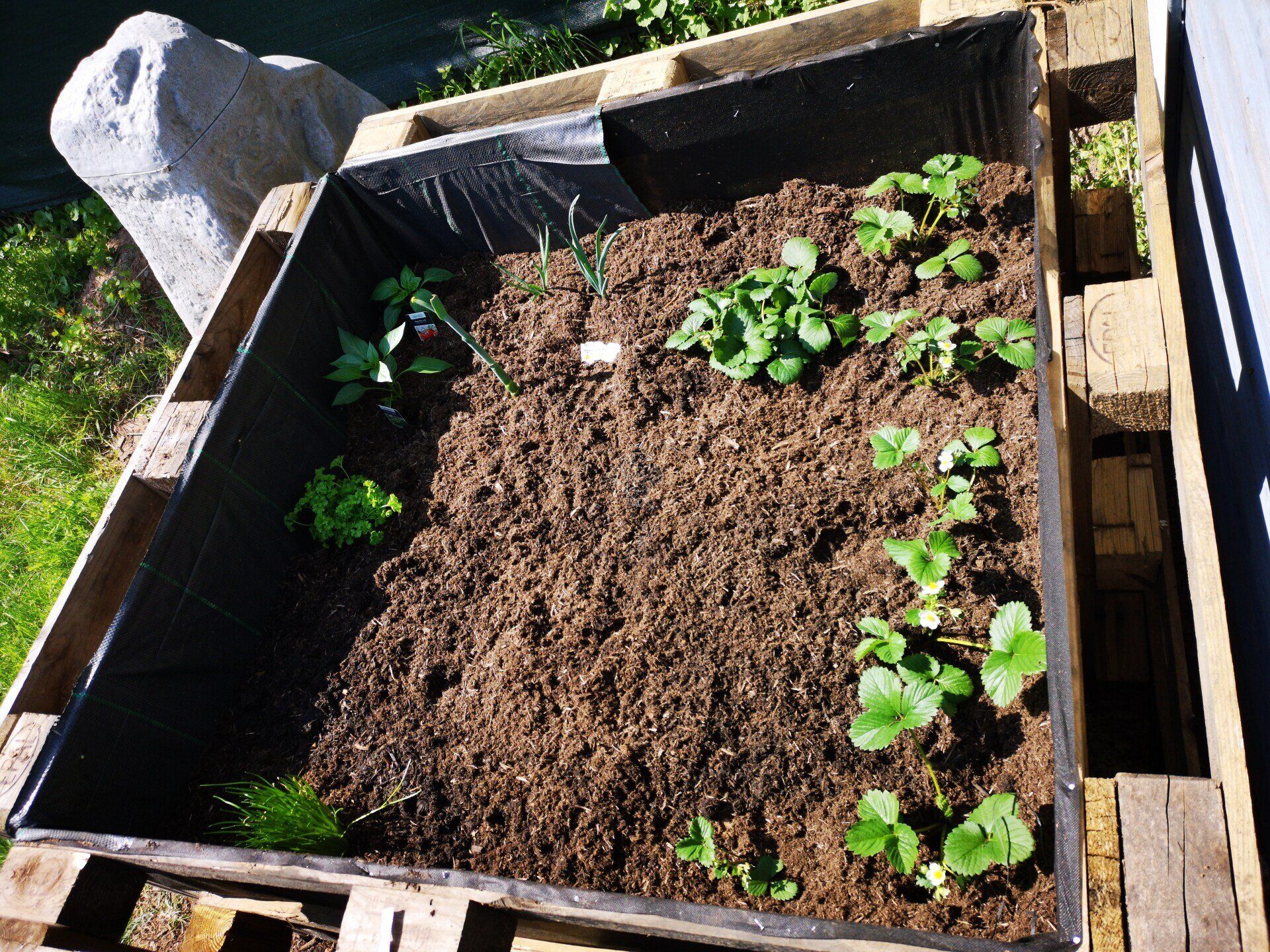 Schmidt Christoph-logo